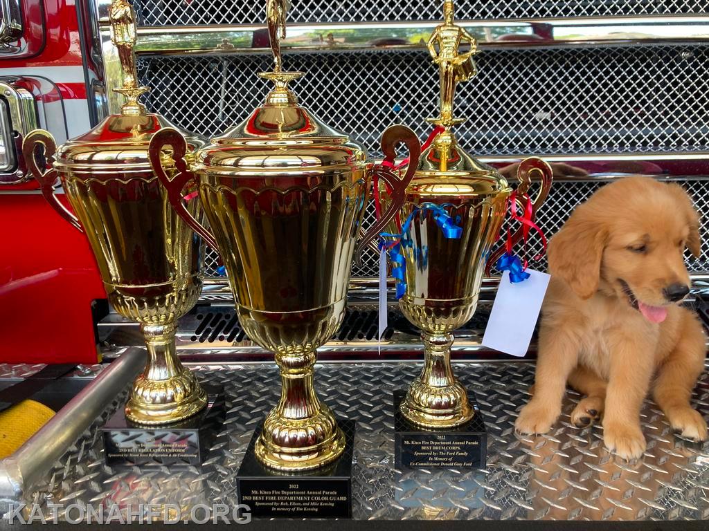 The three trophies from Friday night. Posing with them is "Jasper", a Golden Retriever Puppy who is a Service Dog in Training.